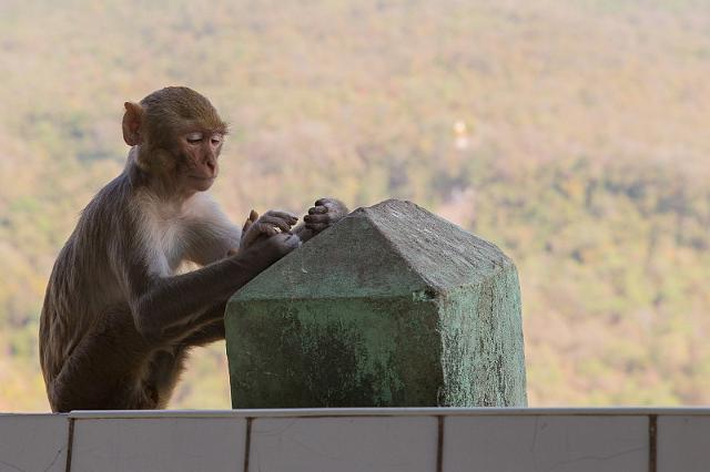 040 Mount Popa.jpg